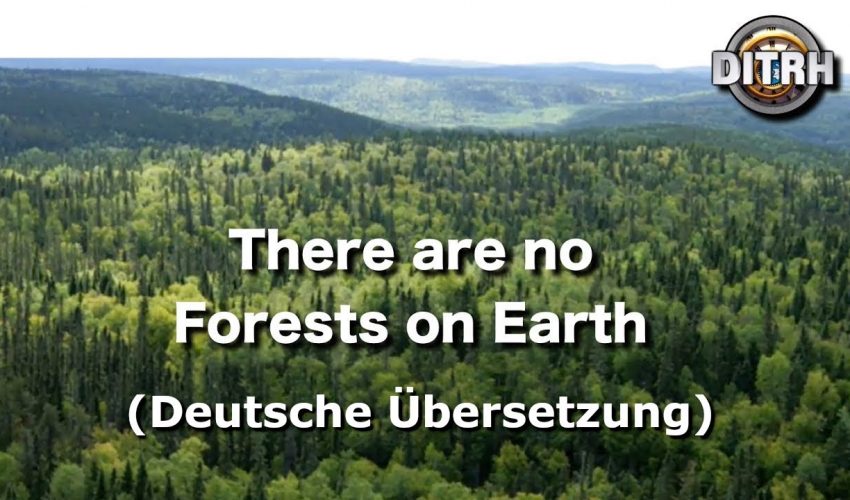 Es gibt keine Wälder auf der Erde!