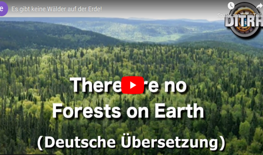 Es gibt keine Wälder auf der Erde!