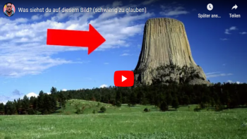 Was siehst du auf diesem Bild? (schwierig zu glauben)