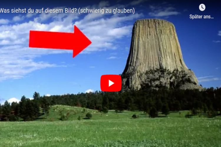 Was siehst du auf diesem Bild? (schwierig zu glauben)