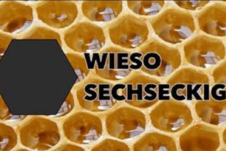 Wieso sind die Zellen der Bienenwaben hexagonal?