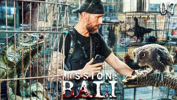 Der traurige Wildtierhandel auf Bali! – Wir können das beenden! | Mission: Bali