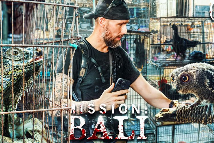 Der traurige Wildtierhandel auf Bali! – Wir können das beenden! | Mission: Bali
