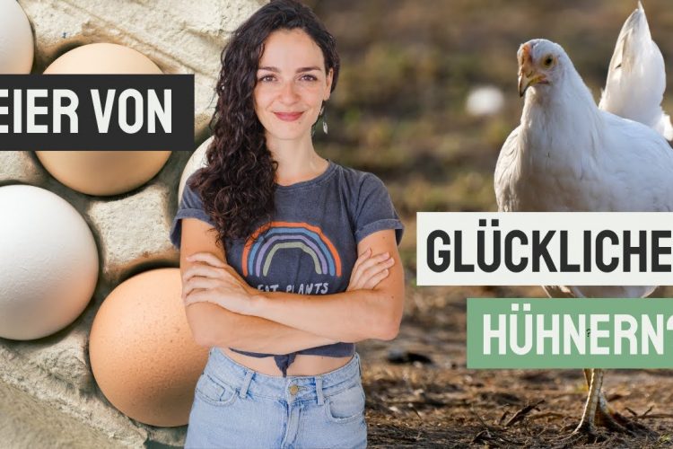 Eier von „glücklichen Hühnern“ essen? 🤔🐔🥚