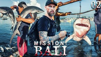 #HaiBockAngriff Die Realität – Einblicke in einen der größten Haimärkte der Welt | Mission: Bali