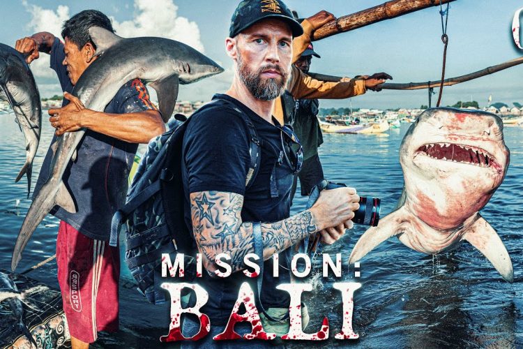 #HaiBockAngriff Die Realität – Einblicke in einen der größten Haimärkte der Welt | Mission: Bali