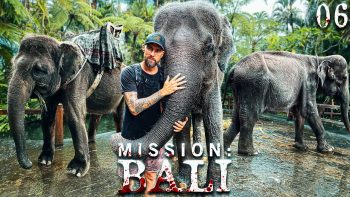Ich beute 27 Elefanten aus & es macht keinen Spaß | Mission: Bali
