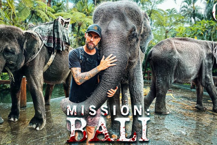 Ich beute 27 Elefanten aus & es macht keinen Spaß | Mission: Bali
