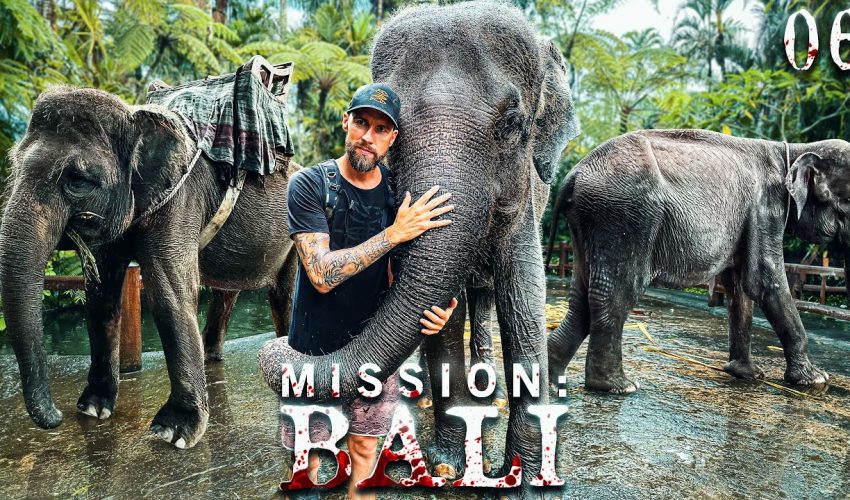 Ich beute 27 Elefanten aus & es macht keinen Spaß | Mission: Bali