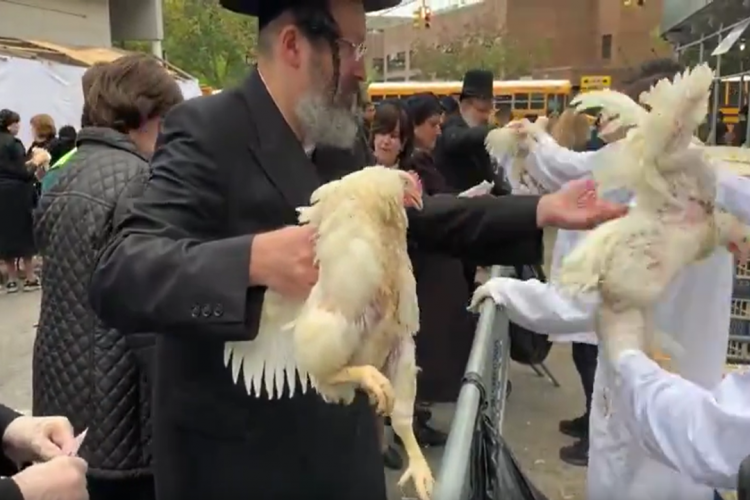 Tierquälerei in Israel