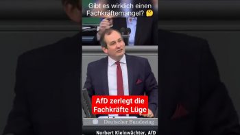 AfD zerlegt Fachkräfte Lüge (Short)