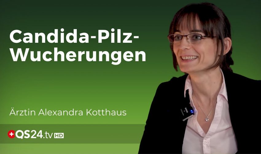 Candida Pilze: Segen und Fluch zugleich? | Chefärztin Alexandra Kotthaus | NaturMEDIZIN | QS24
