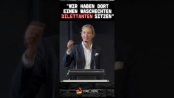 Dr.Alice Weidel kritisiert Robert Habeck (Short)