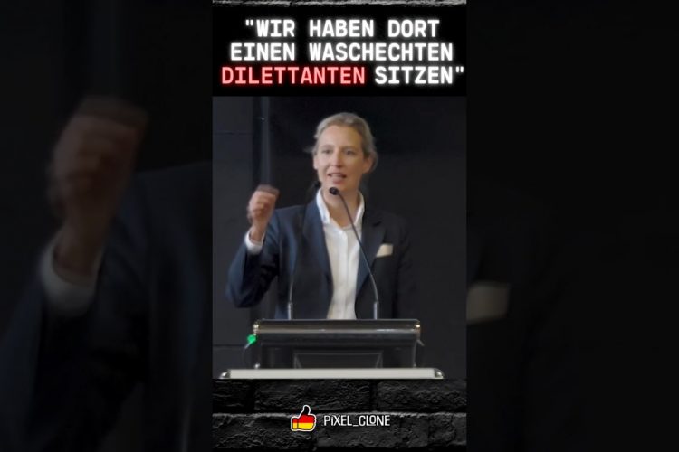 Dr.Alice Weidel kritisiert Robert Habeck (Short)