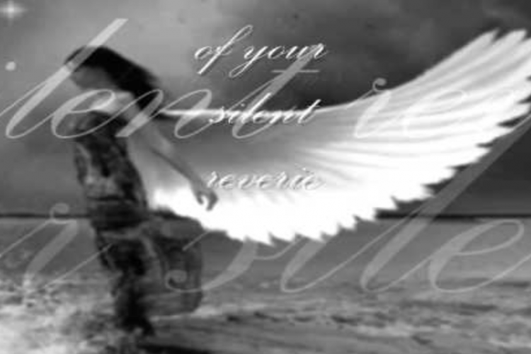 Sarah McLachlan – In the Arms of an Angel