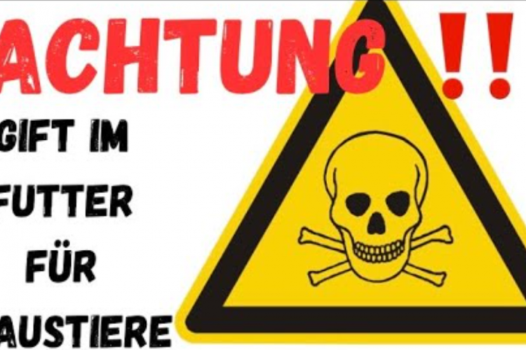 Gift im Tierfutter 😩!
