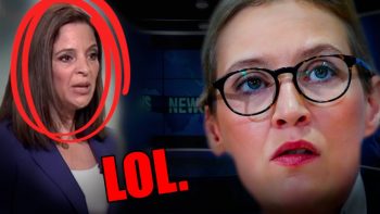 Alice Weidel hat das wirklich Gesagt??