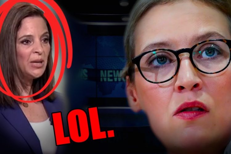 Alice Weidel hat das wirklich Gesagt??