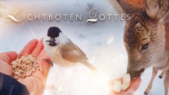 „Die Tiere sind Lichtboten Gottes“von Geistheiler SanandaZitate