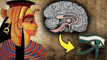 Die Zirbeldrüse: Das Dritte Auge und die Größte Vertuschung der Menschheitsgeschichte