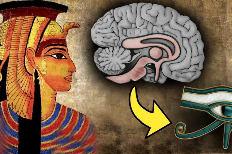 Die Zirbeldrüse: Das Dritte Auge und die Größte Vertuschung der Menschheitsgeschichte