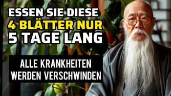 Essen Sie morgens nur 4 Blätter auf nüchternen Magen, der Körper bleibt stark und gesund
