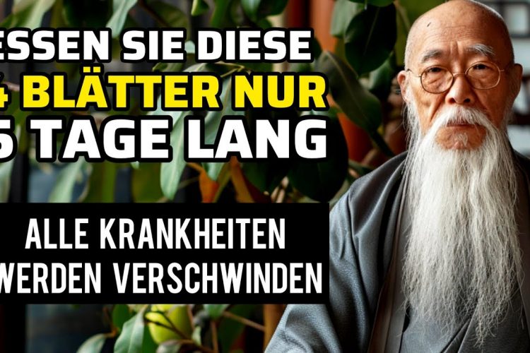 Essen Sie morgens nur 4 Blätter auf nüchternen Magen, der Körper bleibt stark und gesund