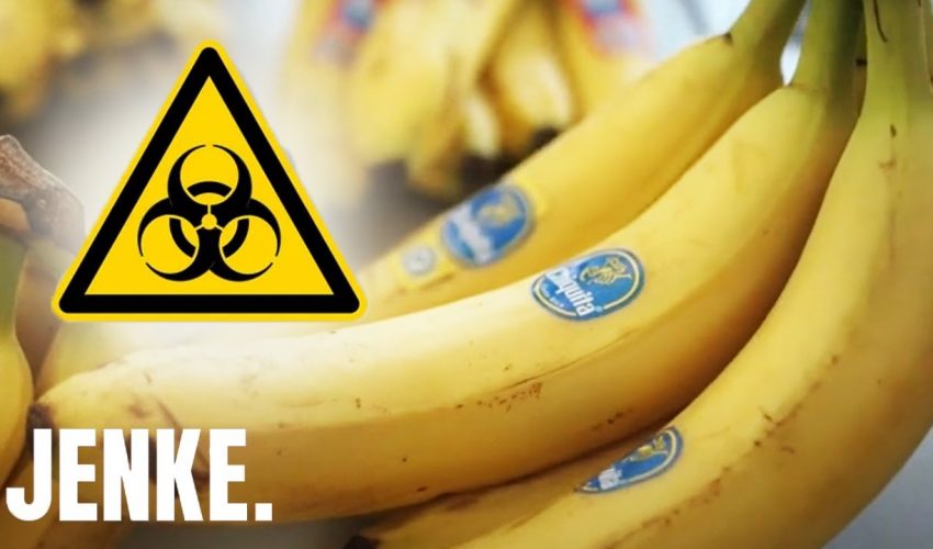 Gift-Bananen: Krebserregende Pestizide gefährden Menschen! | JENKE. DAS FOOD-EXPERIMENT