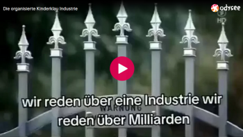 Die organisierte Kinderklau Industrie