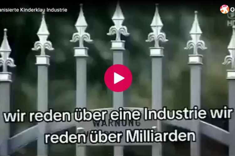 Die organisierte Kinderklau Industrie