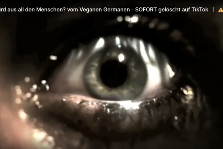 Was wird aus all den Menschen? vom Veganen Germanen – SOFORT gelöscht auf TikTok ❗️⚠️
