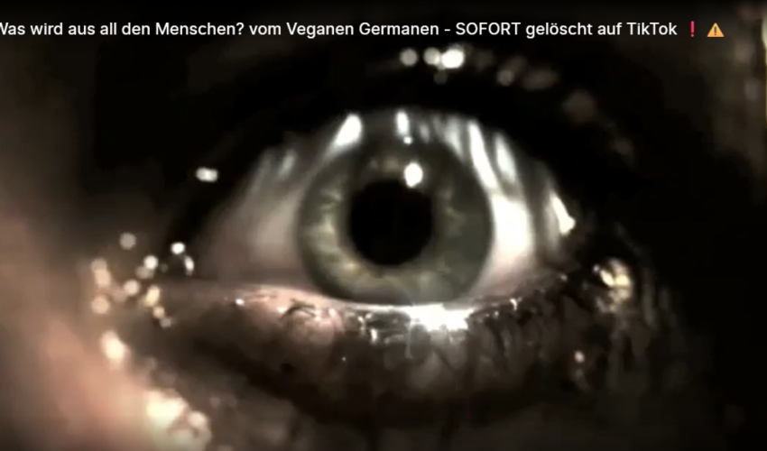 Was wird aus all den Menschen? vom Veganen Germanen – SOFORT gelöscht auf TikTok ❗️⚠️