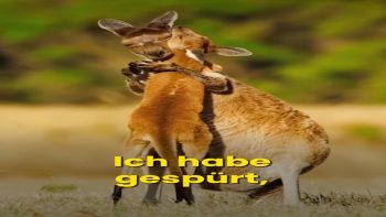 Mutter-Kind-Liebe