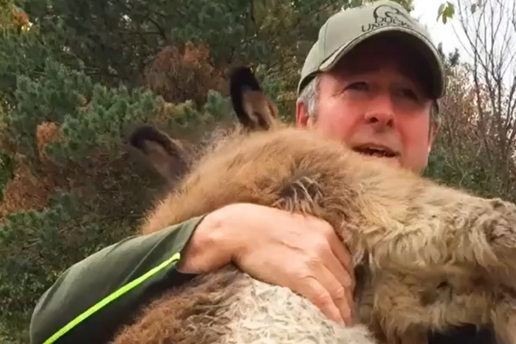 Tierliebe: Mensch & Esel