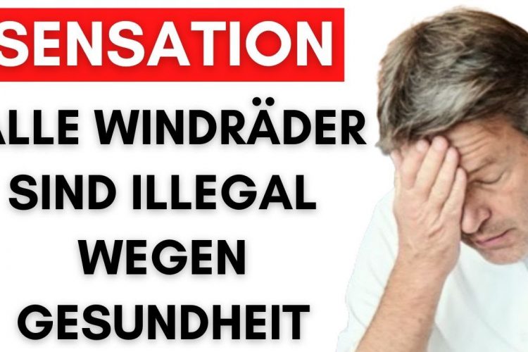 Frankreich verbietet per sofort alle Windräder! Muss Deutschland folgen?