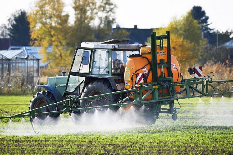 Pestizid-Cocktails auf Obst und Gemüse