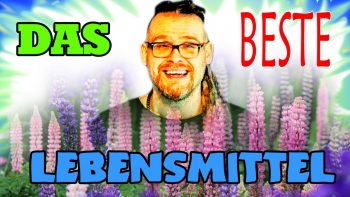 Süßlupine BOAH WIE GEIL!!! Letzte Woche entdeckt und RESTLOS begeistert! UNBEDINGT AUSPROBIEREN!