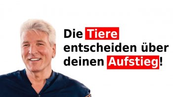 Wie du mit den Tieren umgehst bestimmt dein Nächstes Leben! Sie sind deine Prüfer!