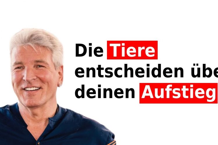 Wie du mit den Tieren umgehst bestimmt dein Nächstes Leben! Sie sind deine Prüfer!