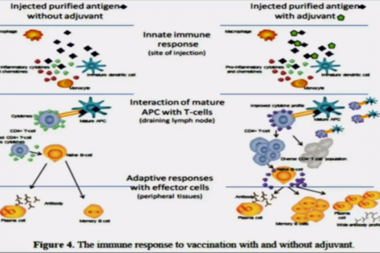 Wunschkonzert der PHARMA-MAFIA