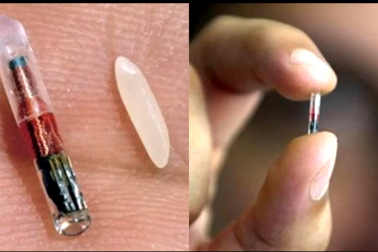 Dr. Katherine Horton 💥 Oxford t