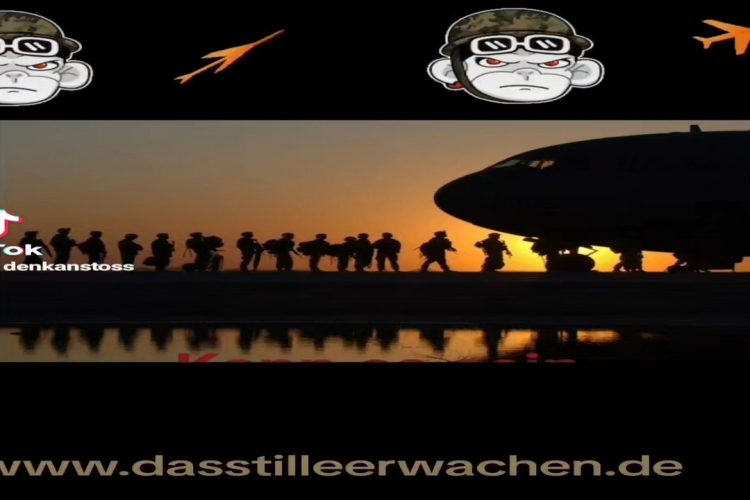 Alice Weidel, Ukrainekrieg + Taylor 