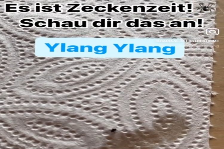 Es ist Zeckenzeit!Schau dir- das an!