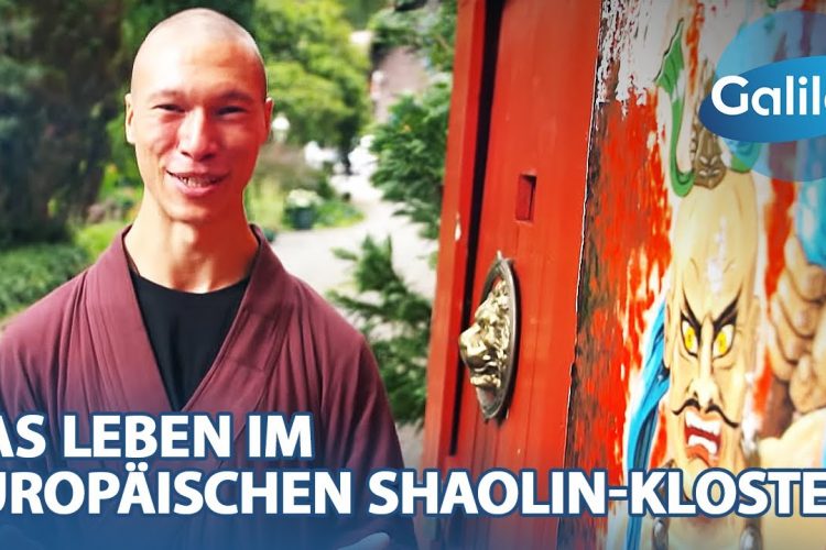 Alltag im Shaolin Temple Europe: Harte Ausbildung, viel Verzicht & viel Disziplin