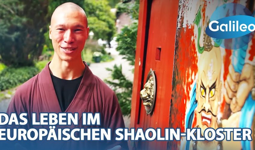 Alltag im Shaolin Temple Europe: Harte Ausbildung, viel Verzicht & viel Disziplin
