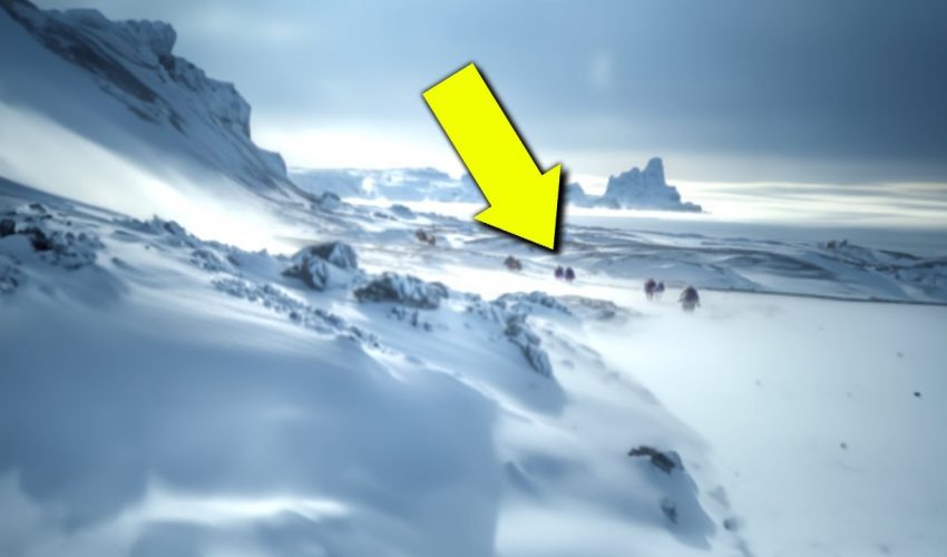 Erstes Filmmaterial von jenseits der Eiswand der Antarktis schockiert die ganze Welt