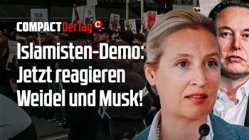 Islamisten-Demo: Jetzt reagieren Weidelund Musk!