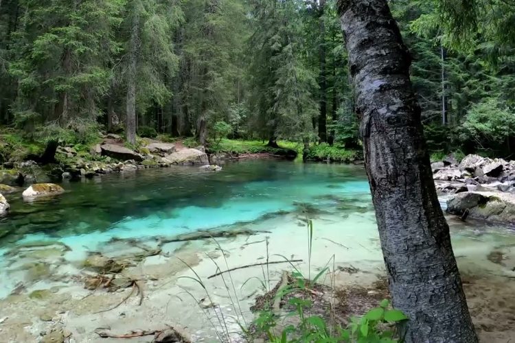 I m p f u n g – Geistheiler Sananda