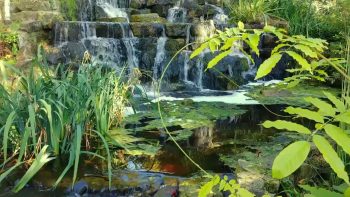 Läuterung – Geistheiler Sananda