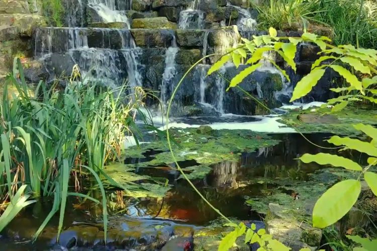 Läuterung – Geistheiler Sananda